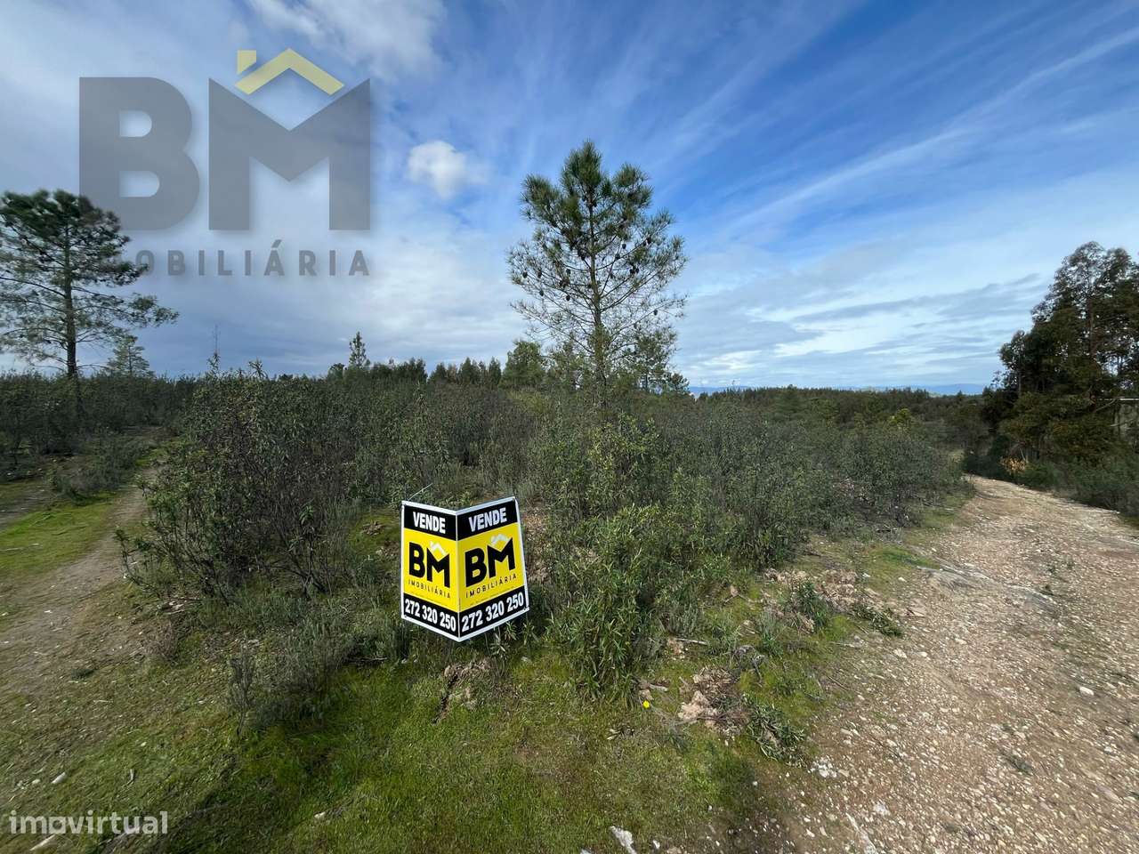 Terreno Rústico  Venda em Salgueiro do Campo,Castelo Branco - Grande imagem: 5/5