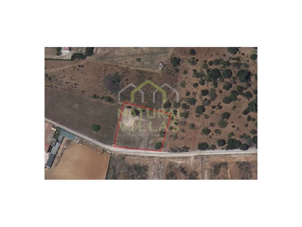 Terreno plano de potencial em Cabanas de Tavira - Grande imagem: 5/5