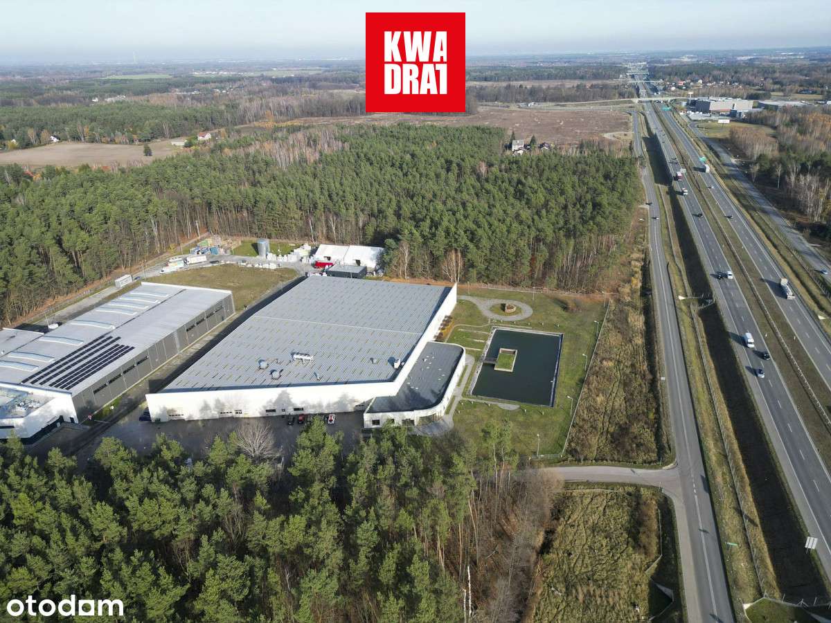 Investment Opportunity: Premium Industrial Complex-2