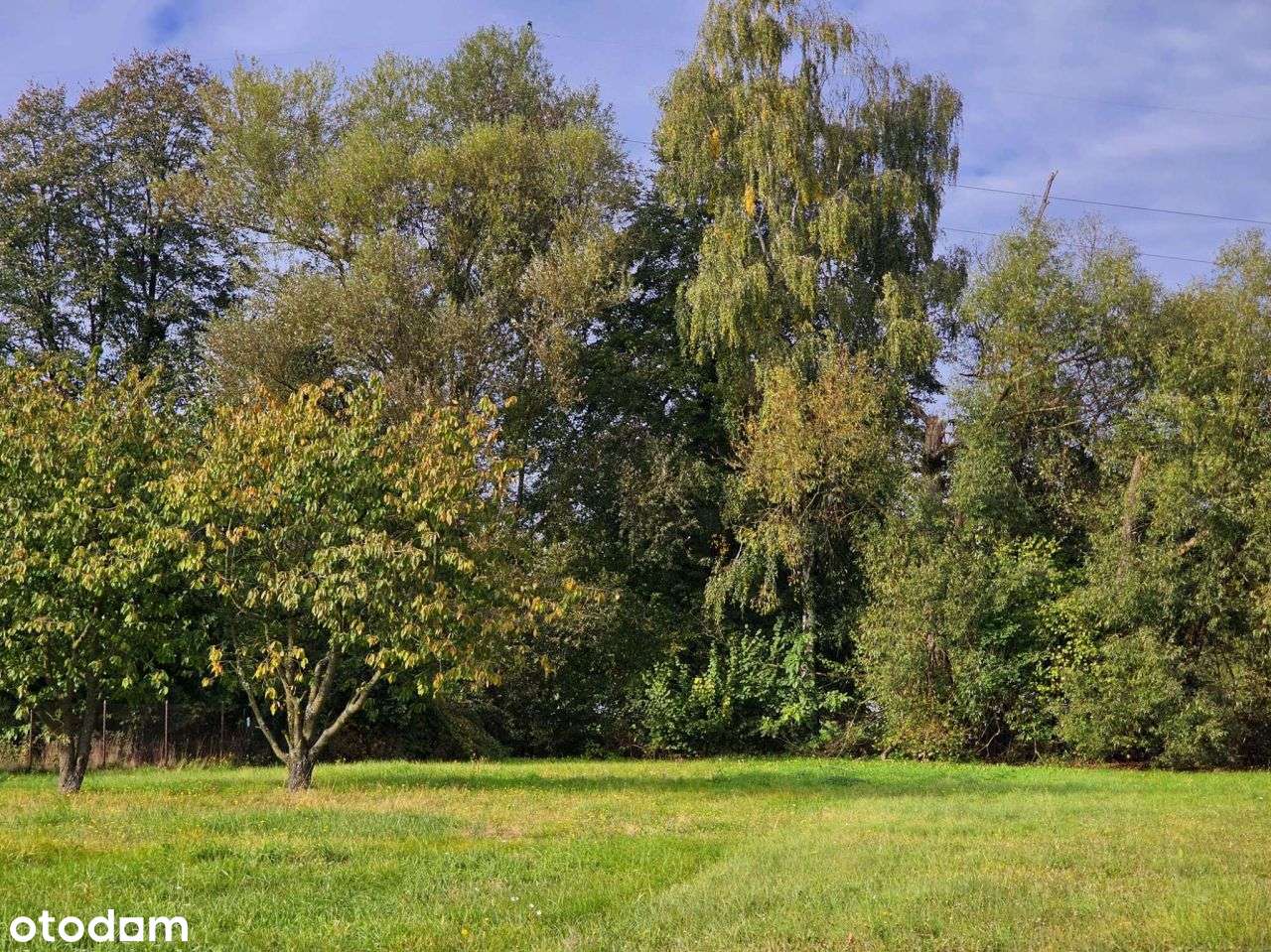 Zielona - rozpoczęta inwestycja dla dewelopera-12