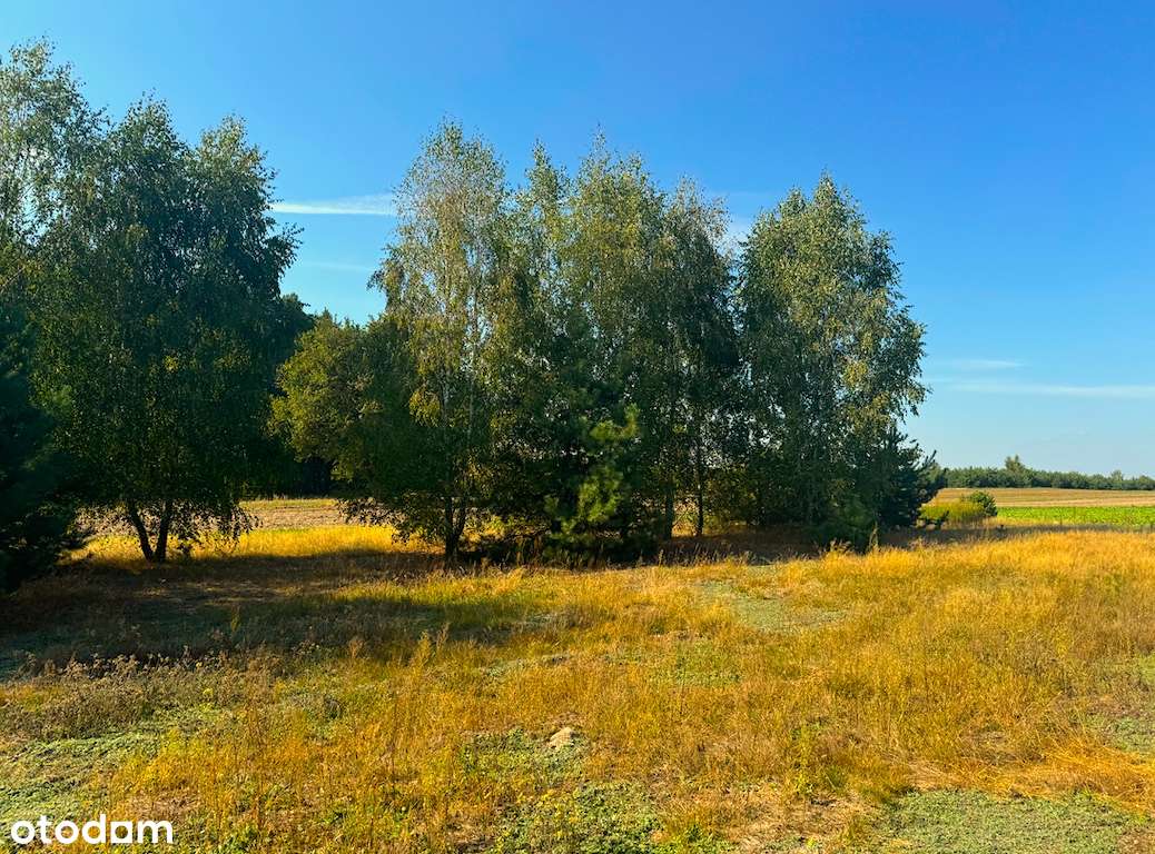 Bezpośrednio. Duża działka z Warunkami Zabudowy.-15