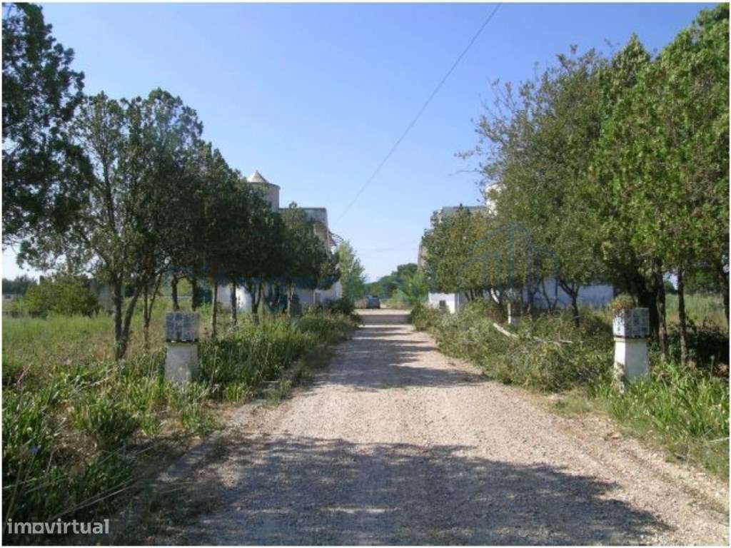 Terreno Industrial para Polo Logístico em Canha, Montijo-8