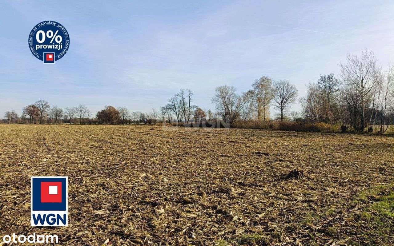 Działka, 143 738 m², Kuźnica Janiszewska-0