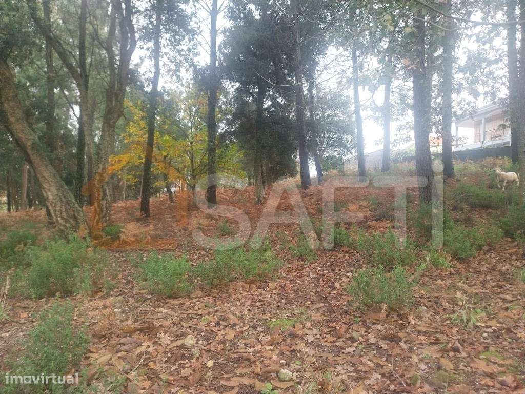 Terreno Rustico, para construção de 3 moradia - Grande imagem: 5/8