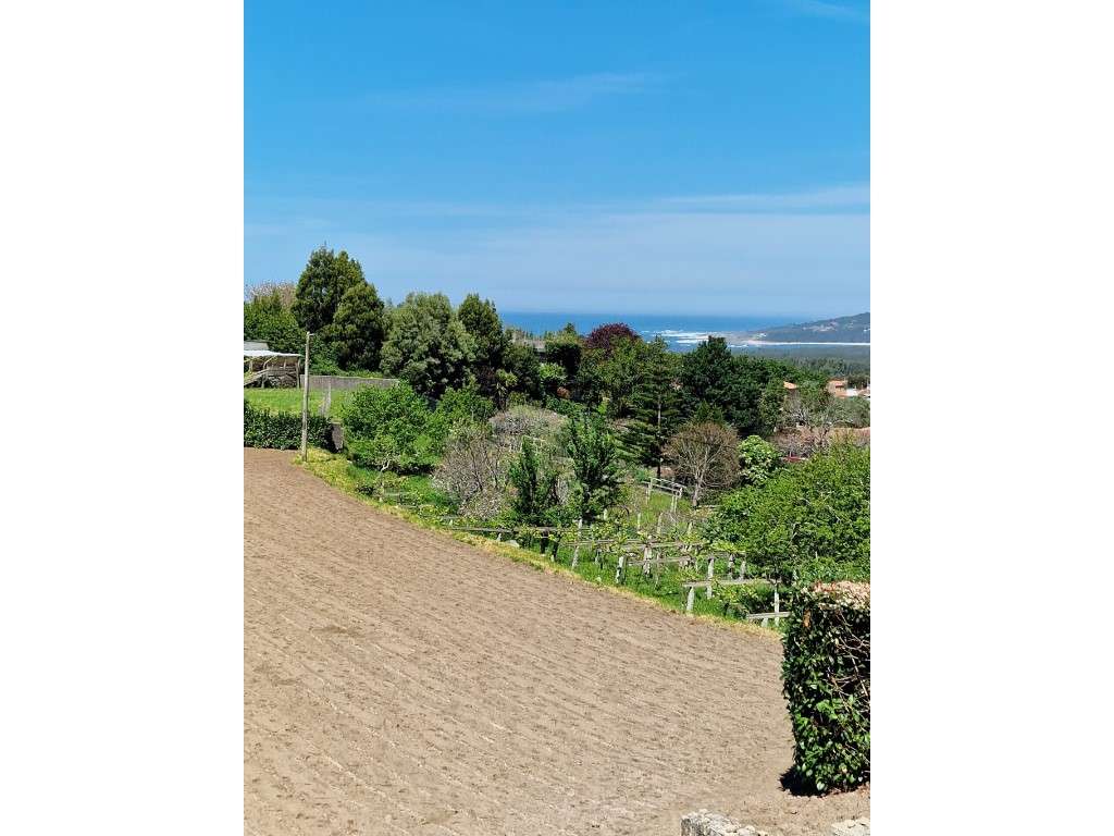 Terreno - Moledo - Caminha - Grande imagem: 4/11