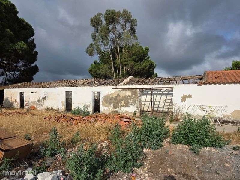 Base de vida em Grândola - Grande imagem: 5/7