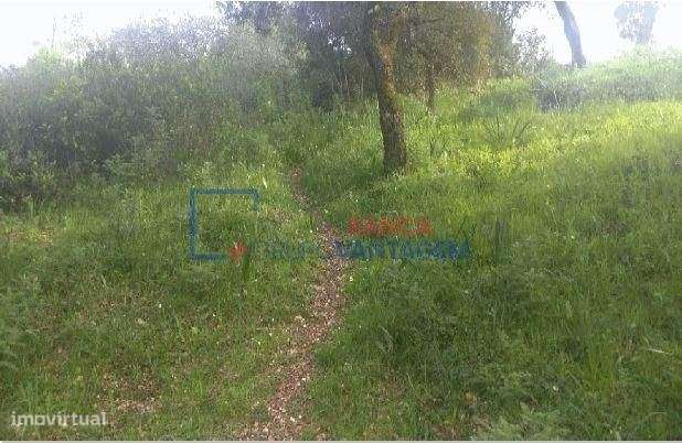 TERRENO URBANO PARA MORADIA GEMINADA - Grande imagem: 4/7