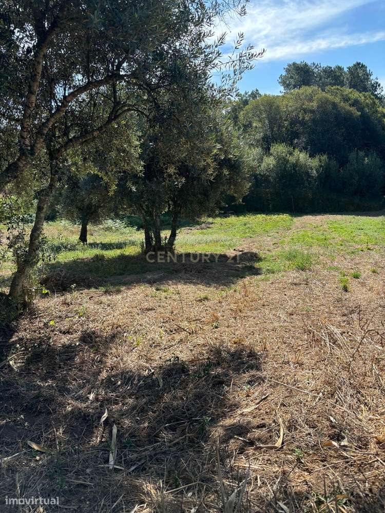 Terrenos em Pipa - Vila Cã, Pombal, com viabilidade construtiva - Grande imagem: 4/23