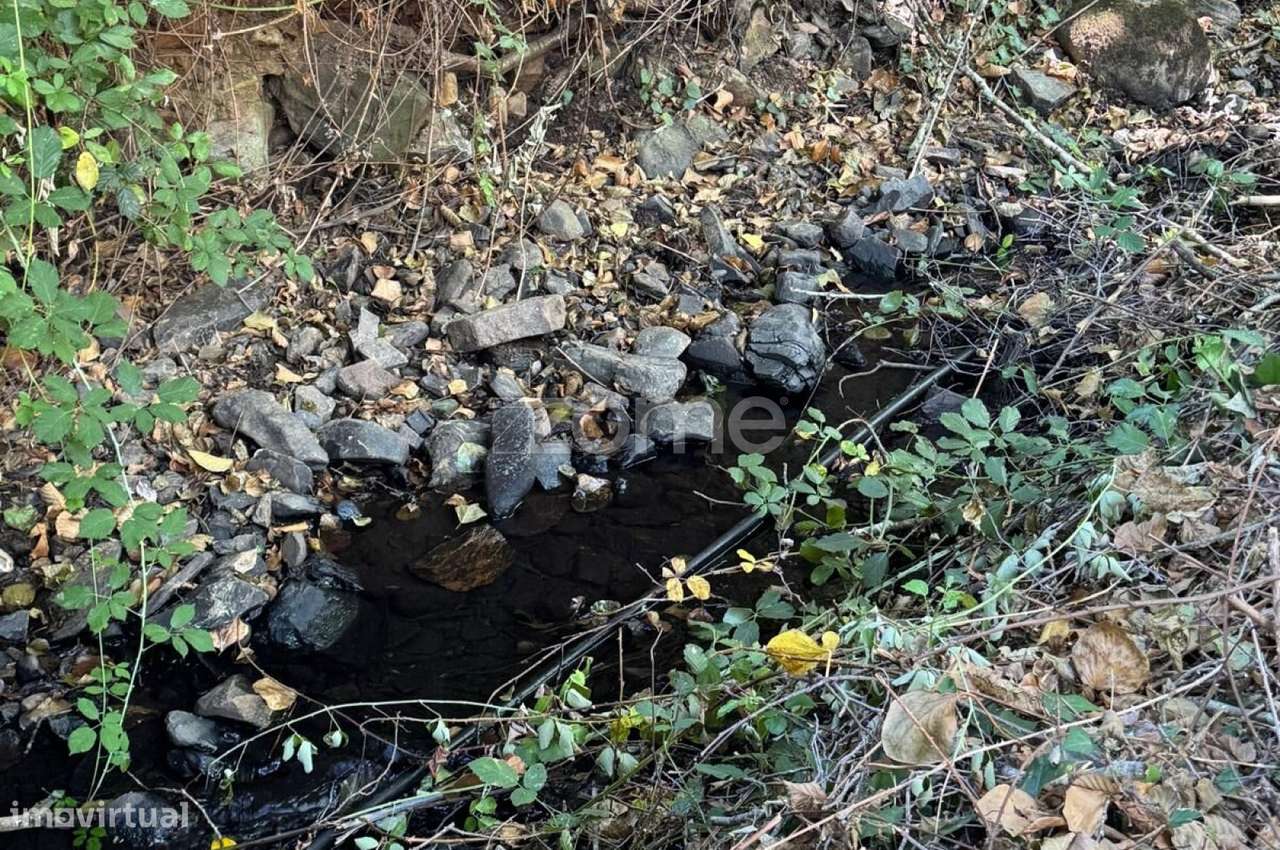 Terreno Rústico com 2000m2 - Monchique - Grande imagem: 4/23