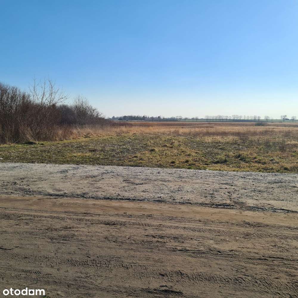 Działka, 16 000 m2, Środa Wielkopolska - Pełny obrazek: 4/5