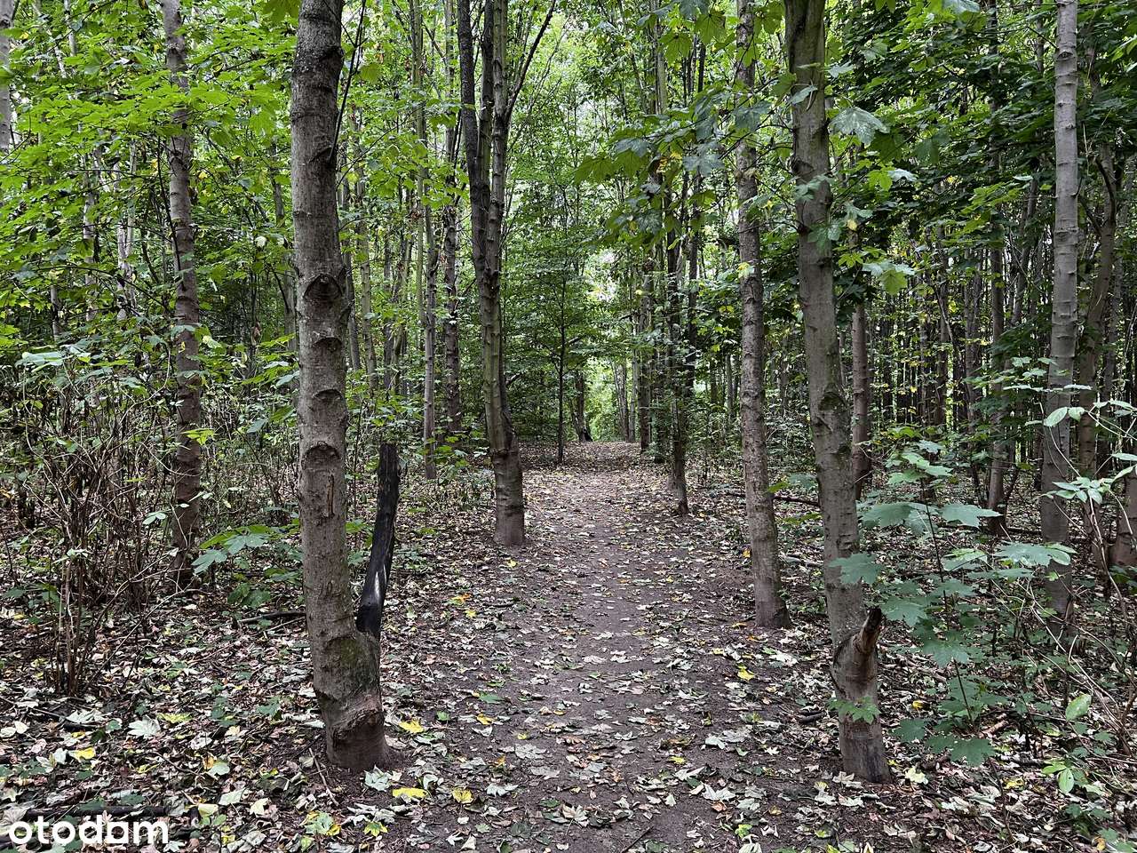 4 pokoje blisko zieleni Koziegłowy - możliwa zamiana na mniejsze-18