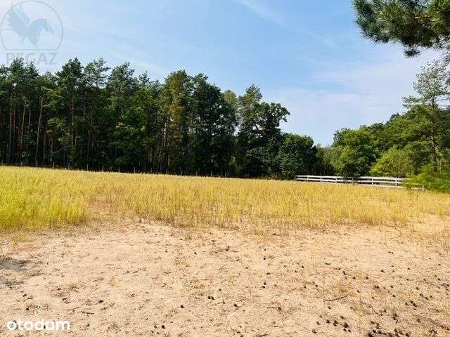 Działka w Węgielni - Pełny obrazek: 4/18