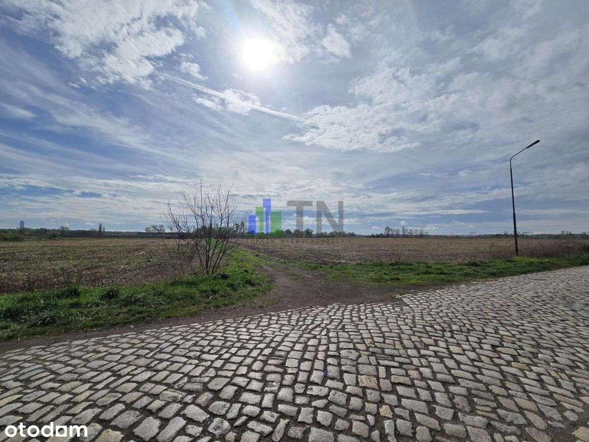 Okazja | Duży potencjał! - Pełny obrazek: 4/11