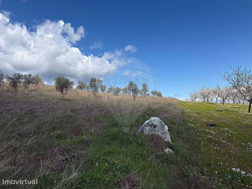 Terreno  para venda - Grande imagem: 4/6