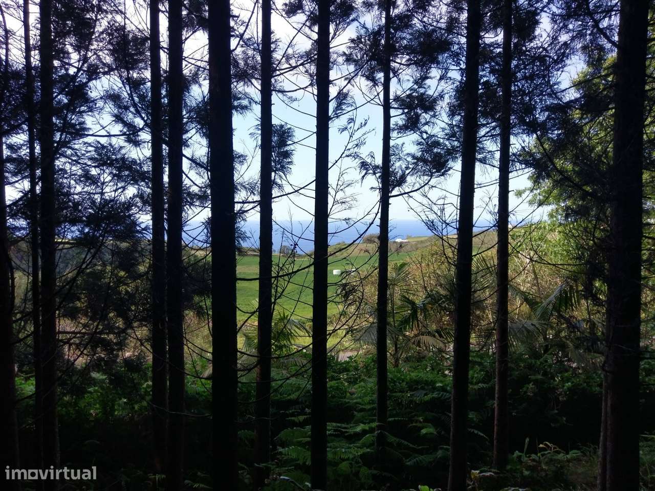 Terreno em São Pedro de Nordestinho com Projeto Aprovado-10