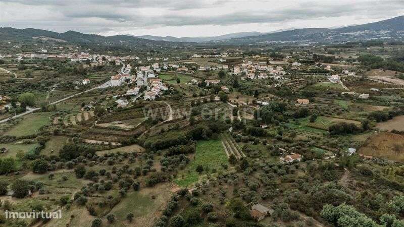 Terreno Rústico / Covilhã, Ferro - Grande imagem: 4/16