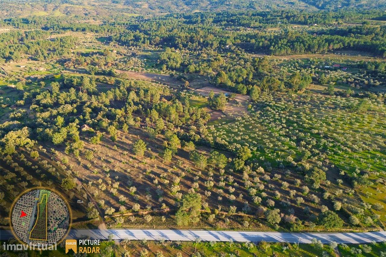 Terreno Plano 6.700m² c/ Vistas Panorâmicas – Salgueiro do Campo-13
