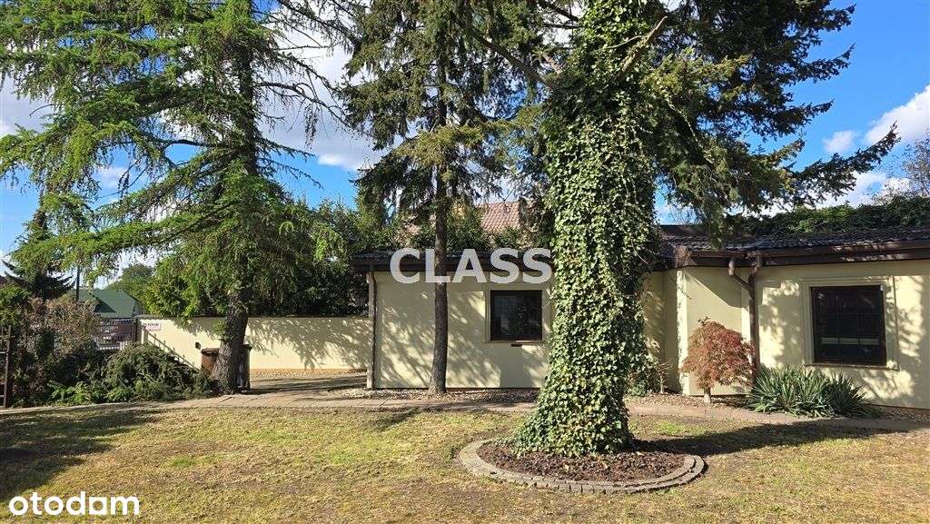 Dom parterowy 220m2, Jachcice Okazyjna Cena! - Pełny obrazek: 5/19