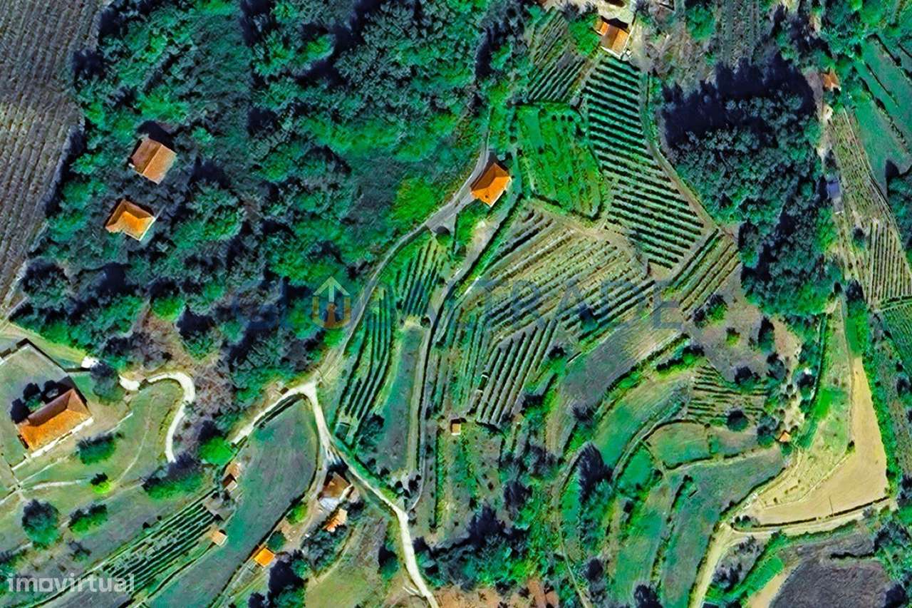 Quinta com 5250 m² & Moradia T1 em Pedra – Baião-50