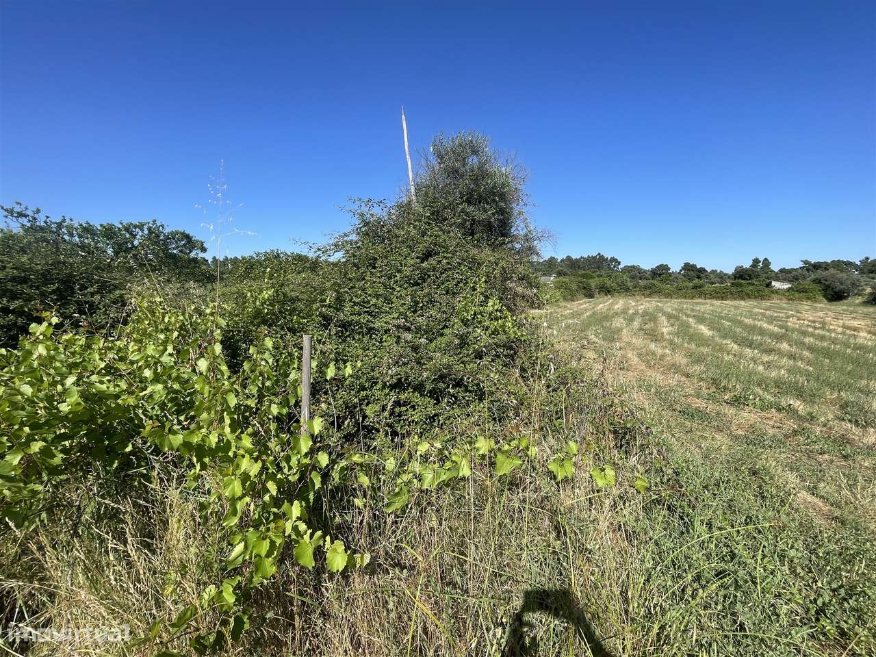 Terreno Rústico  Venda em Escalos de Cima e Lousa,Castelo Branco - Grande imagem: 5/10