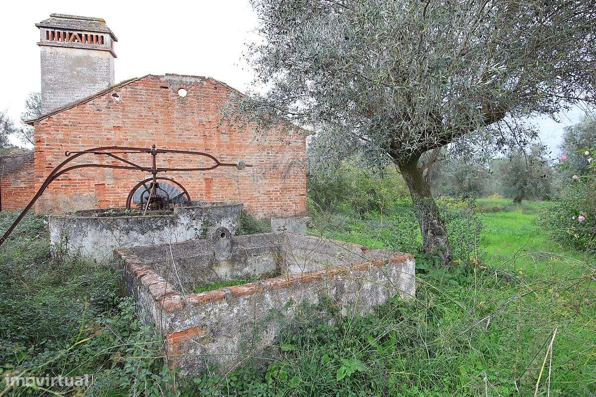 Terreno  para venda - Grande imagem: 5/11