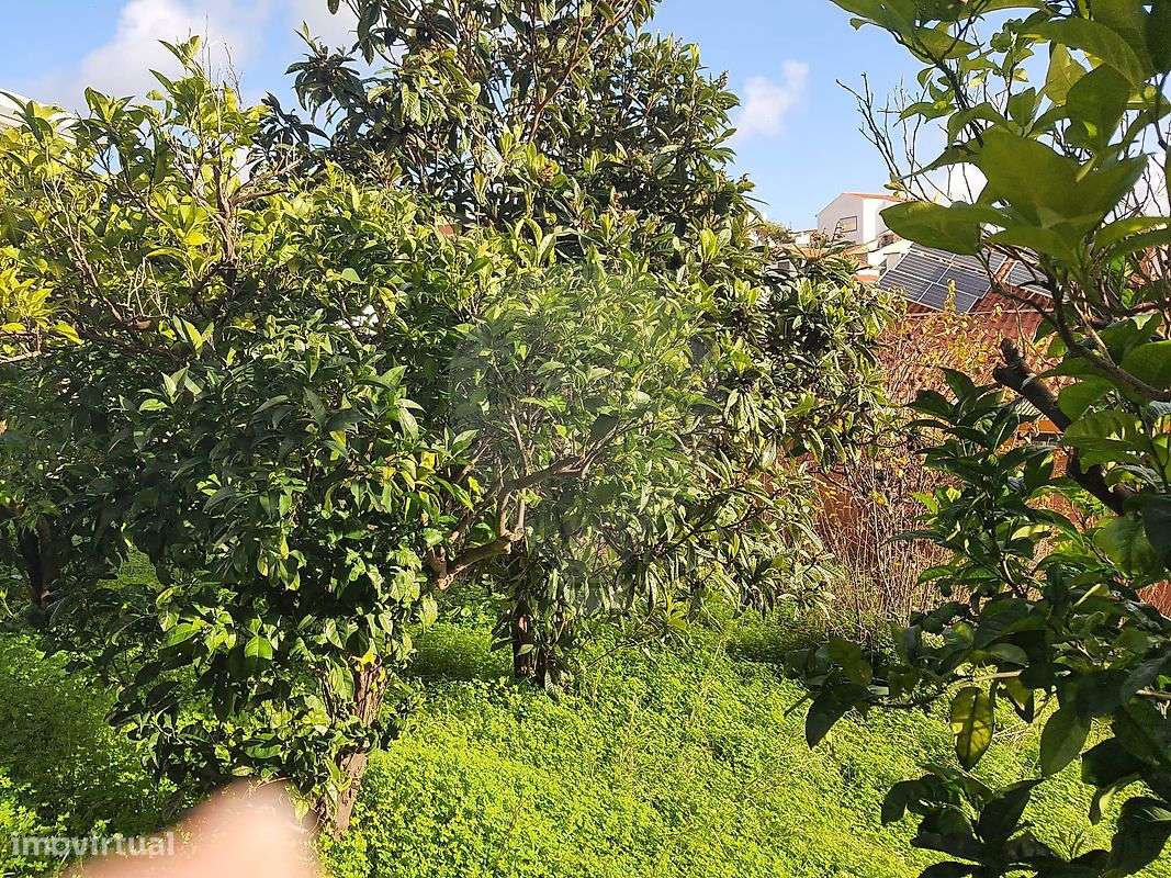 Terreno  para venda-6