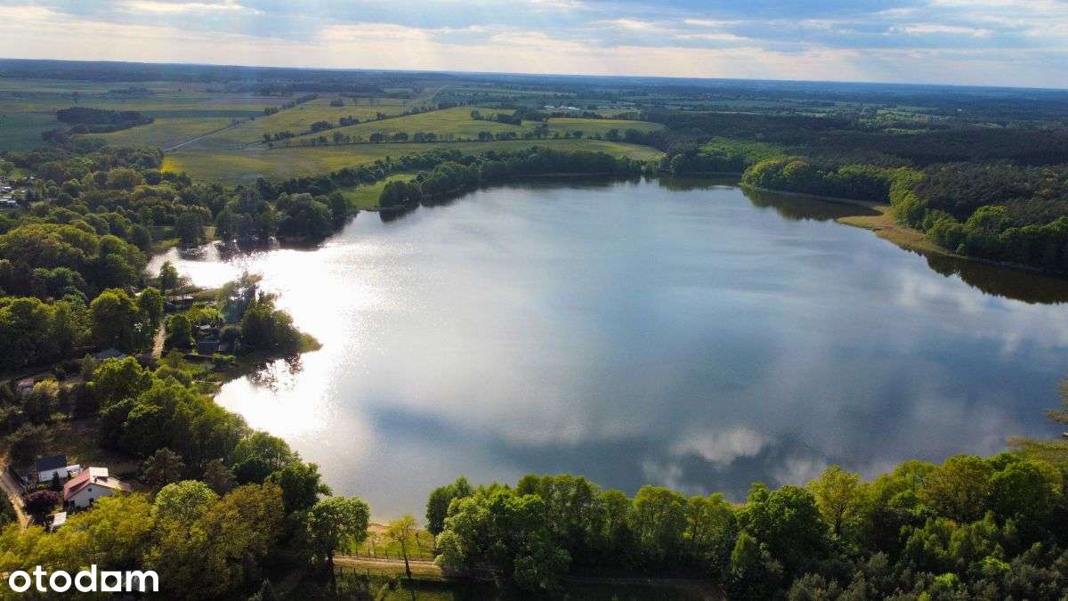 ➤Działka 1057m2 ➤ Psarskie ➤ 14min od Pniew - Pełny obrazek: 3/9