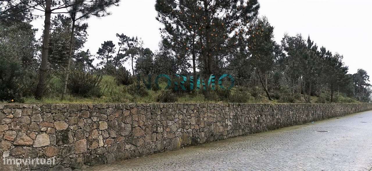 NOR21121 - Grande imagem: 4/6