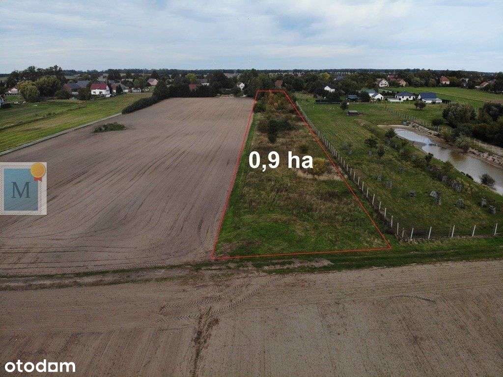 Grabik |działka 8,5 ara |dojazd z dwóch stron - Pełny obrazek: 5/6