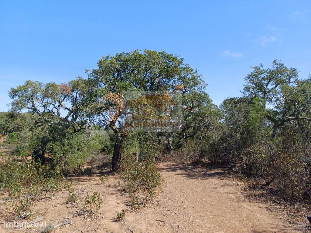 Terreno na serra a 15 minutos das praias - Grande imagem: 3/7