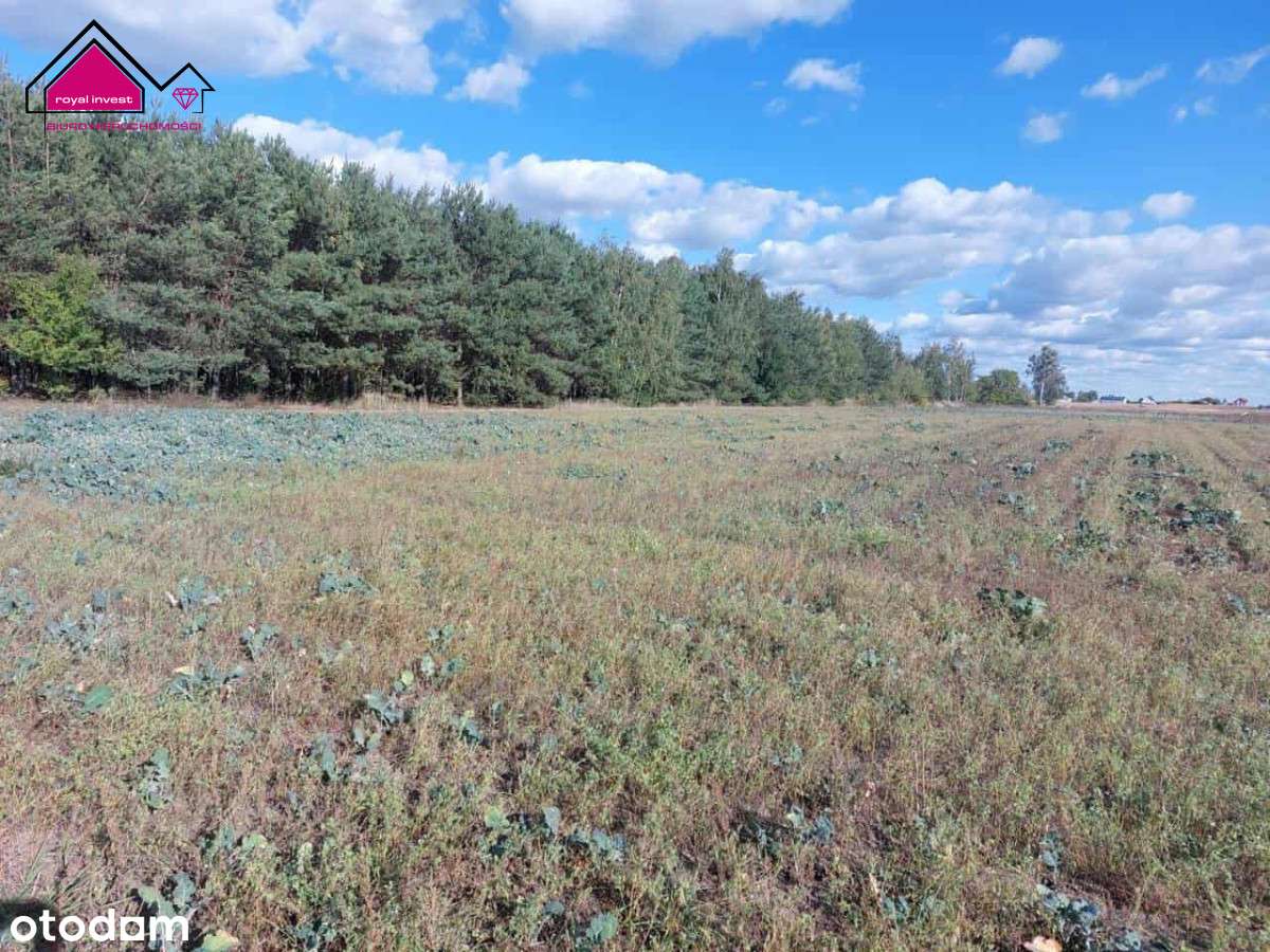 Działki przy lesie, 300m do jeziorem Ślesińskiego - Pełny obrazek: 2/8