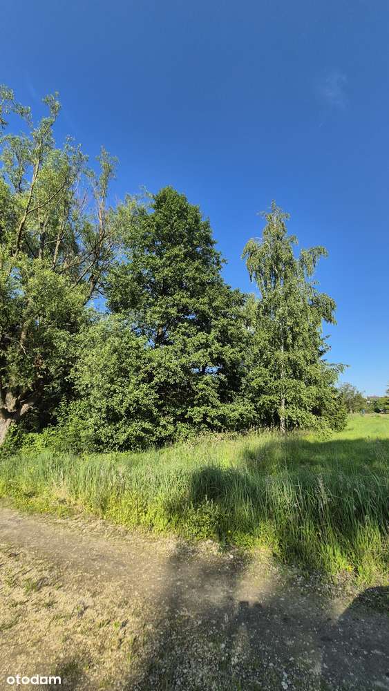 Działka Łazy 1194mkw-2