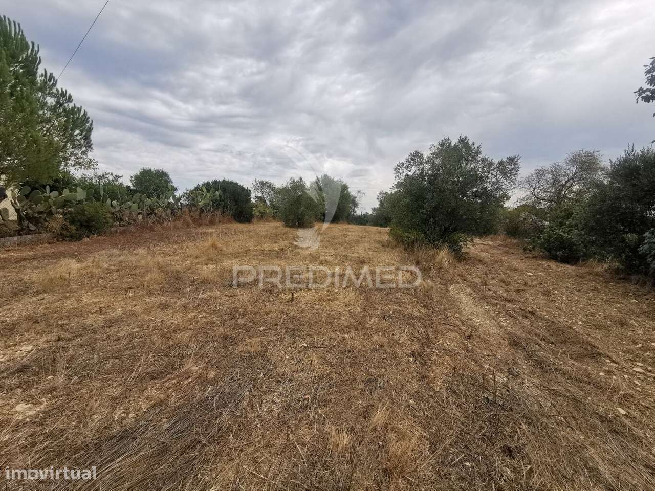 Terreno Misto - Grande imagem: 5/17