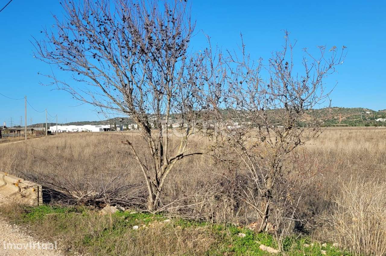 Terreno em Tunes - Grande imagem: 4/16