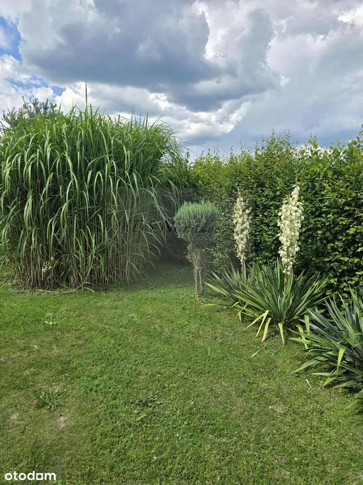 dom z dużą działką-2