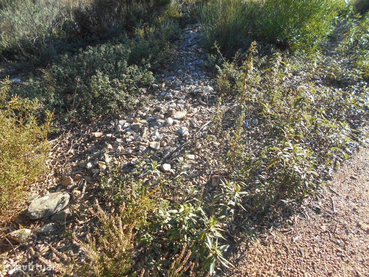 Terreno - Grande imagem: 5/7