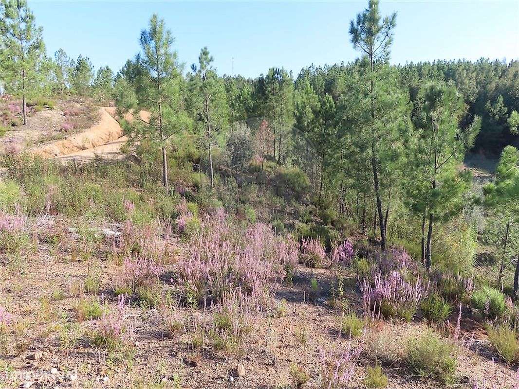 Quinta  para venda - Grande imagem: 4/18