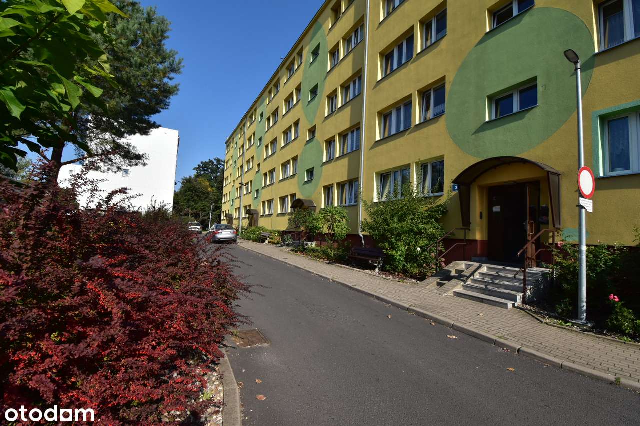 Mieszkanie 3 pokojowe z ogrz miejskim w samym centrum - 46m2-0