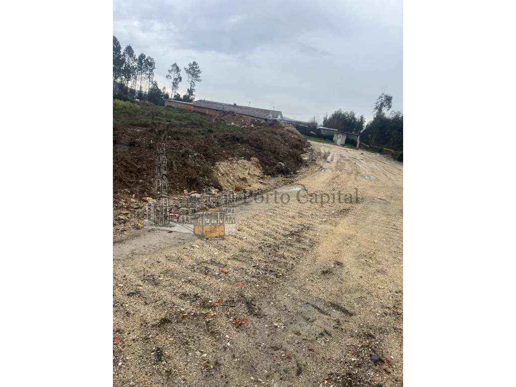 EXCELENTE TERRENO COM 6000m2 - Grande imagem: 4/34