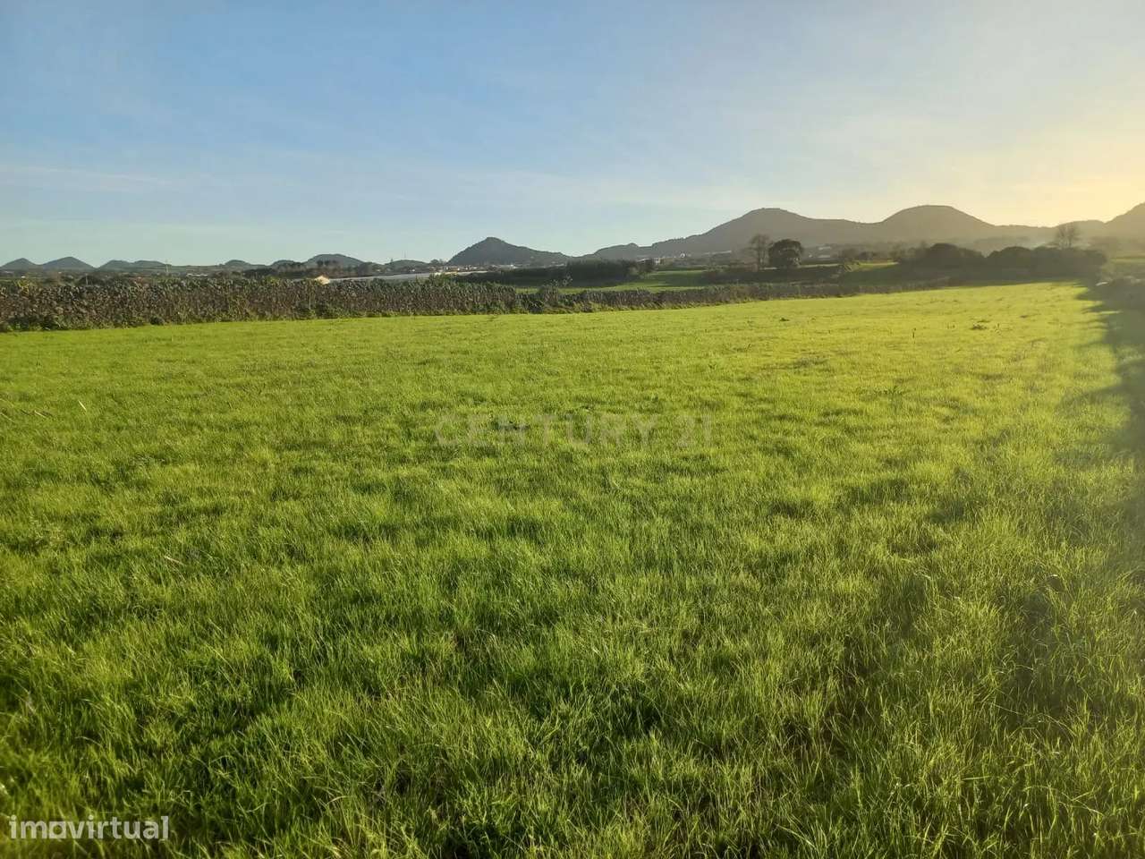 Terreno Agrícola com 13.000 m2 nas Calhetas, Ribeira Grande - Grande imagem: 3/8