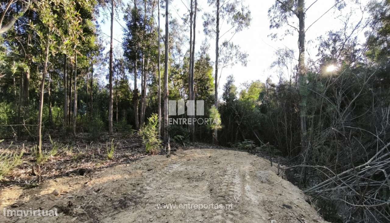 Venda de Terreno para construção, Meixedo, Viana do Castelo - Grande imagem: 5/19