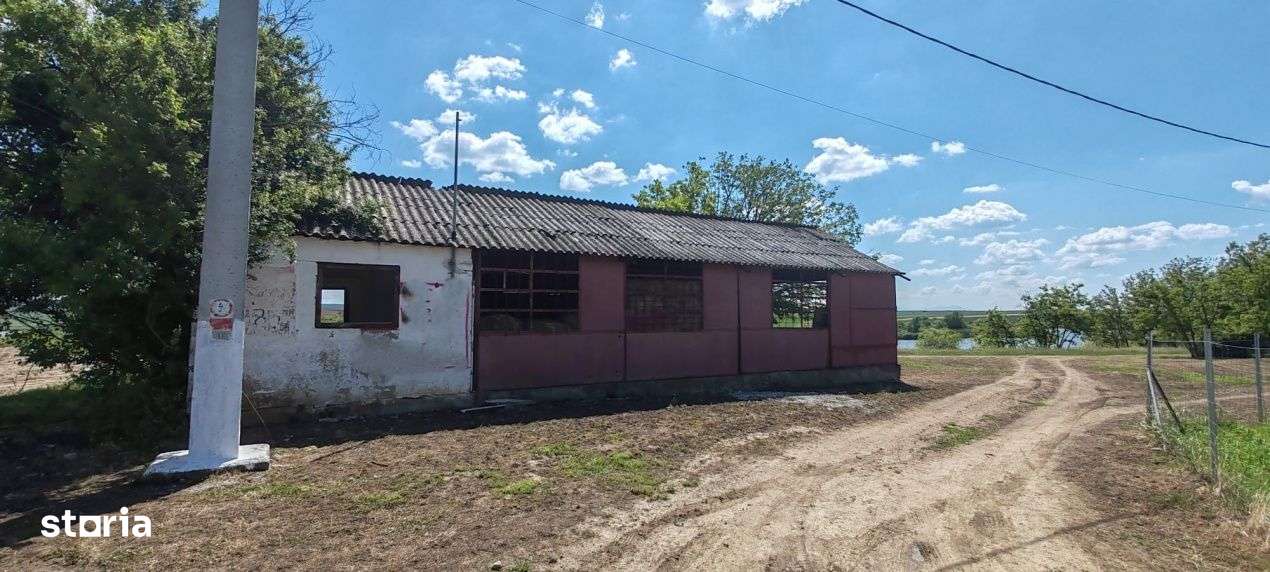 Teren extravilan deosebit, 5755 mp pe malul lacului Miersig, Bihor-1