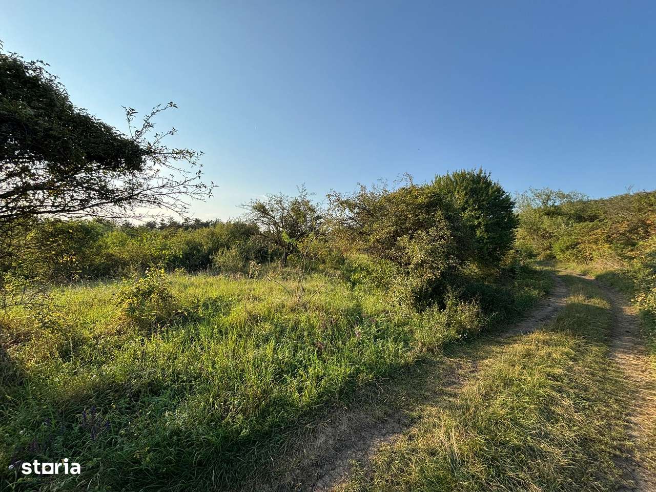Teren 1320 mp zona Pomet - Imagine principală: 4/5