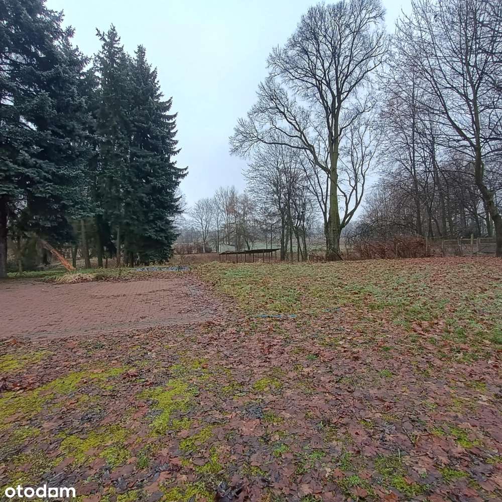 Domek rekreacyjny na dużej ogrodzonej działce blisko rzeki Warta - Pełny obrazek: 4/14