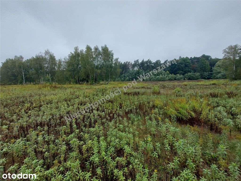 Działka Objęta Miejscowym Planem Zagospodarowania - Pełny obrazek: 4/9