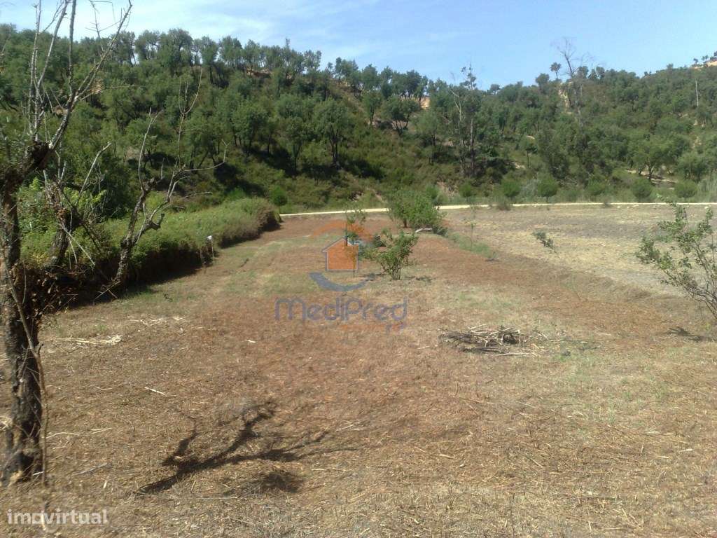 Lote de terreno com 3000m2 em Pinheiro Grande - Grande imagem: 4/60