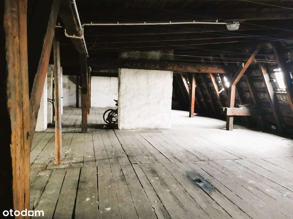 Strych do adaptacji 189 m przy Parku Wilsona