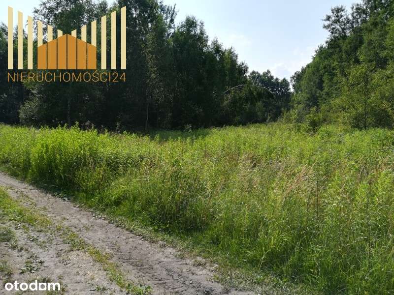 619339 - Pełny obrazek: 3/6