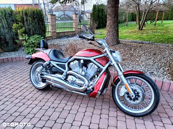 Harley-Davidson V-Rod Muscle - 12