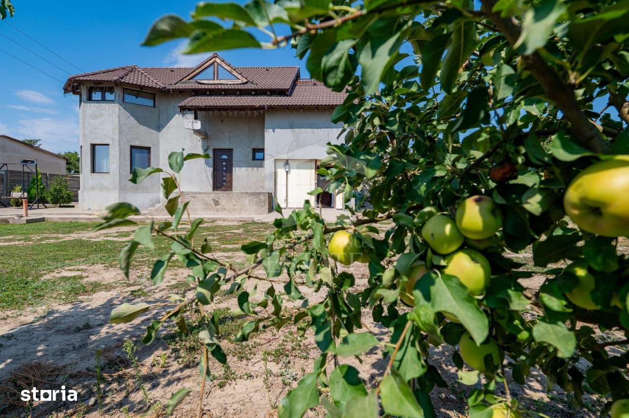 CASA P+M | 5 CAMERE | TEREN 1000 MP-1